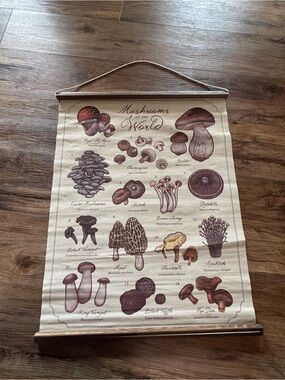 Mushrooms of the World Wall Hanging - Neutral Brown Canvas